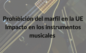 Prohibición del comercio de marfil en la UE