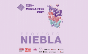 Presentación del Proyecto Niebla