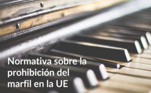 Normativa sobre la prohibición del marfil en la UE