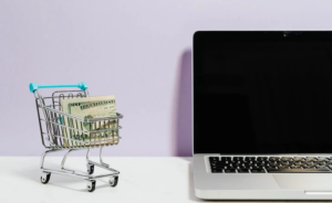 Aplicación del Reglamento de Servicios Digitales